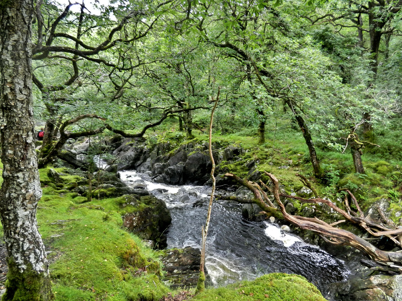 Ganllwyd, Llanelltyd
